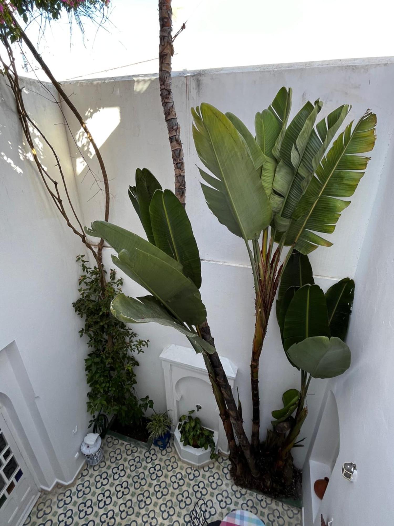 Casabonita Villa Asilah Room photo